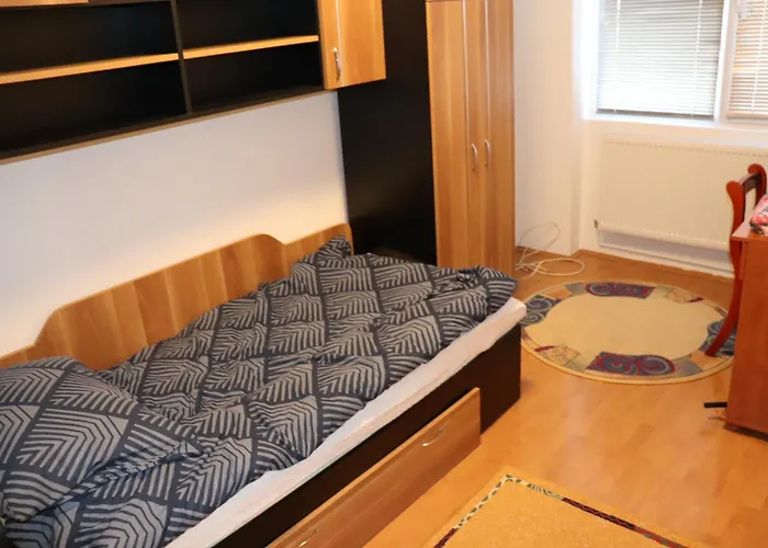 Center Flat * Timişoara